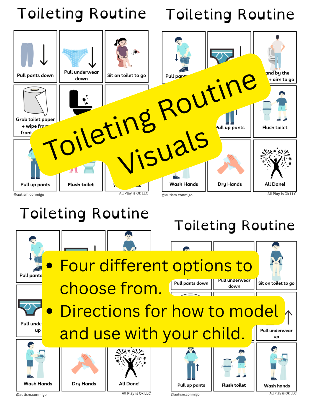Autism Potty Training Visual
